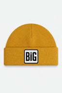 big think logolu camel bere
