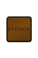 efendy logolu