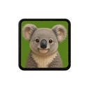 koala logolu